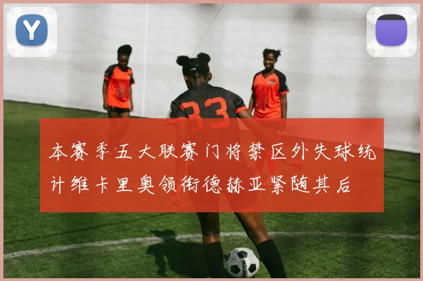 本赛季五大联赛门将禁区外失球统计维卡里奥领衔德赫亚紧随其后