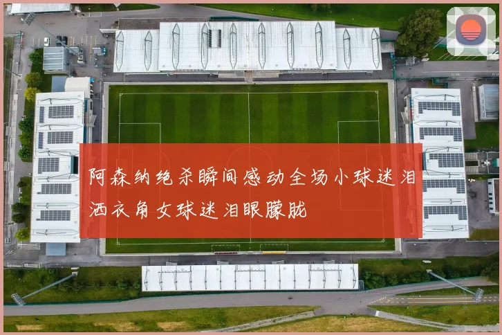 阿森纳绝杀瞬间感动全场小球迷泪洒衣角女球迷泪眼朦胧